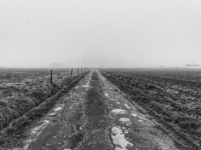Foggy straight road through flat fields.